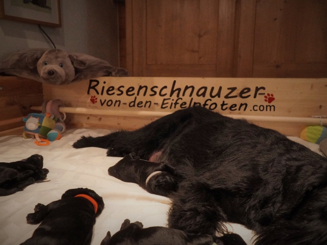 Woche 1